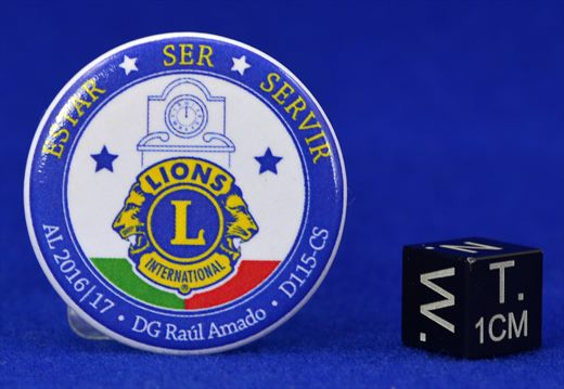 Portugal - Distrito 115 - CS - DG Raul Amado - 2016-2017 - Estar Ser Servir
