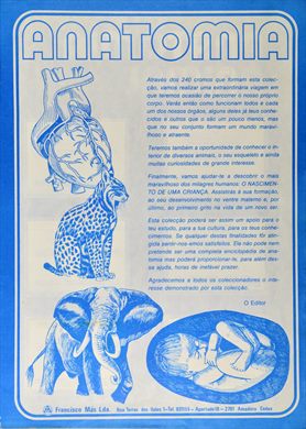 Anatomia 02