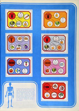 Anatomia 20