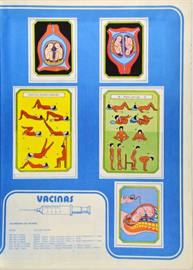 Anatomia 30