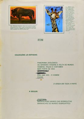 Fauna - Vertebrados 35