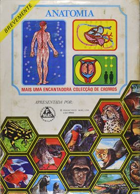 Fauna - Vertebrados 36