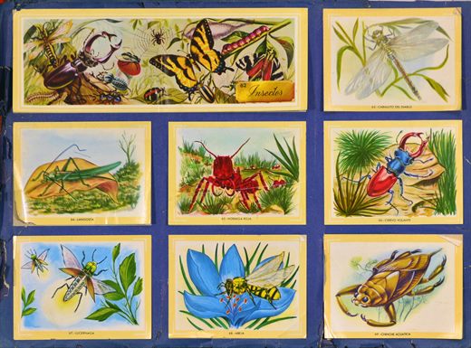 Naturama (Version Venezolana) 062-069
