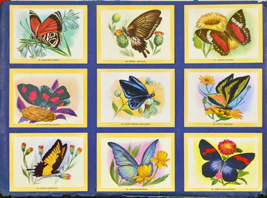 Naturama (Version Venezolana) 079-087