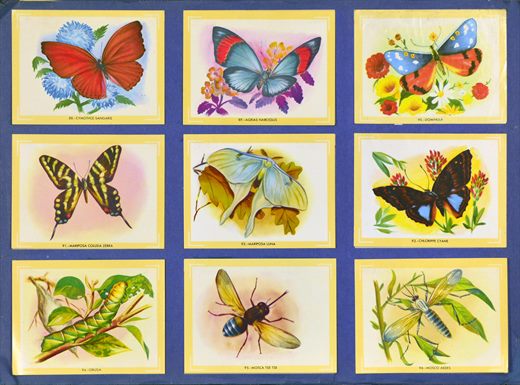 Naturama (Version Venezolana) 088-096