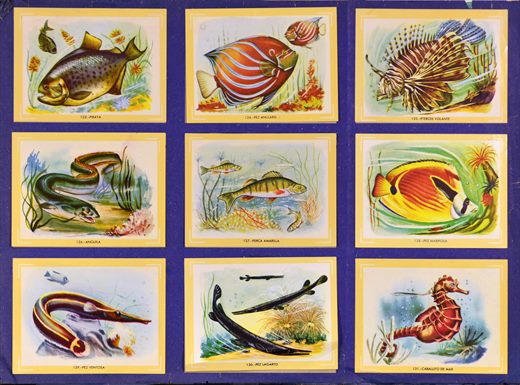 Naturama (Version Venezolana) 123-131