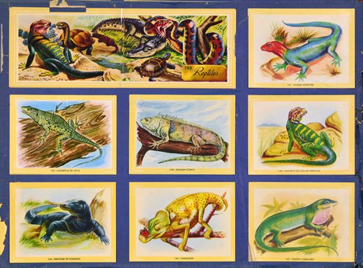 Naturama (Version Venezolana) 140-147