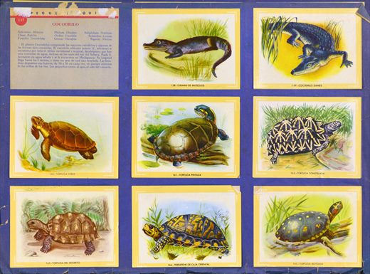 Naturama (Version Venezolana) 157-165