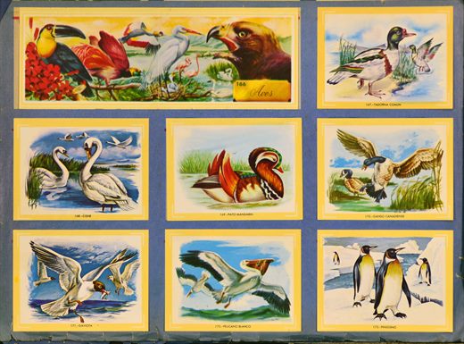 Naturama (Version Venezolana) 166-173