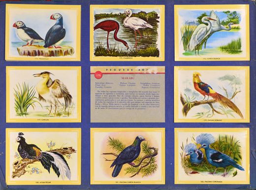 Naturama (Version Venezolana) 174-182