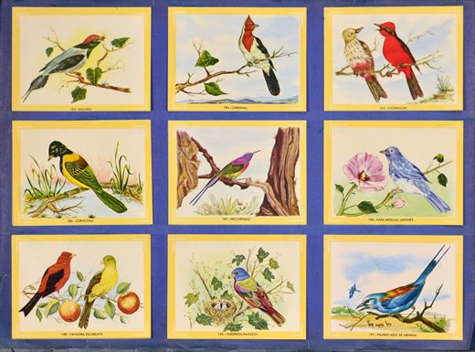 Naturama (Version Venezolana) 183-191