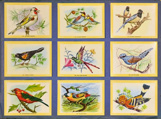 Naturama (Version Venezolana) 192-200