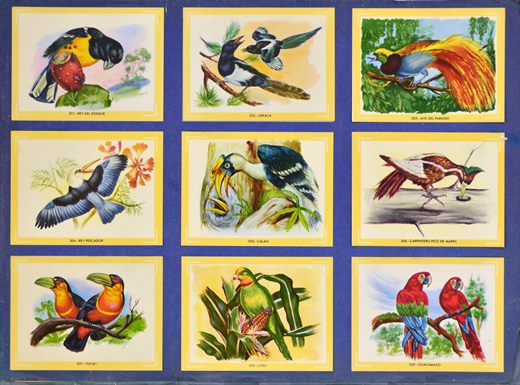 Naturama (Version Venezolana) 201-209