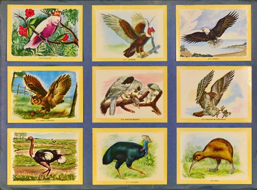 Naturama (Version Venezolana) 210-218