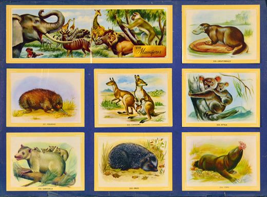Naturama (Version Venezolana) 219-226