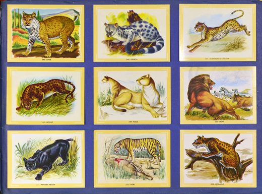 Naturama (Version Venezolana) 245-253