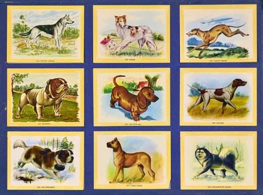 Naturama (Version Venezolana) 254-262