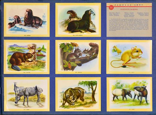 Naturama (Version Venezolana) 263-271