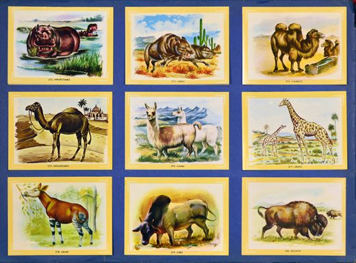 Naturama (Version Venezolana) 272-280