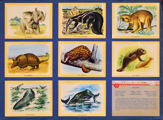 Naturama (Version Venezolana) 290-298