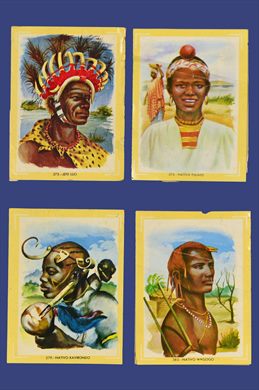 Naturama (Version Venezolana) 375-380