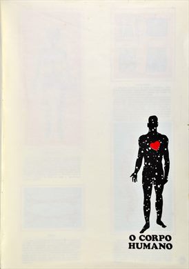 O Corpo Humano 02