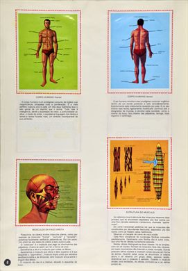 O Corpo Humano 08