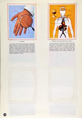 O Corpo Humano 40