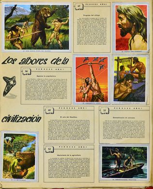 Vida y Color 2 045-055