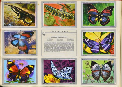 Vida y Color 126-134