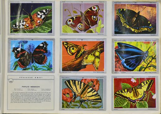 Vida y Color 135-143
