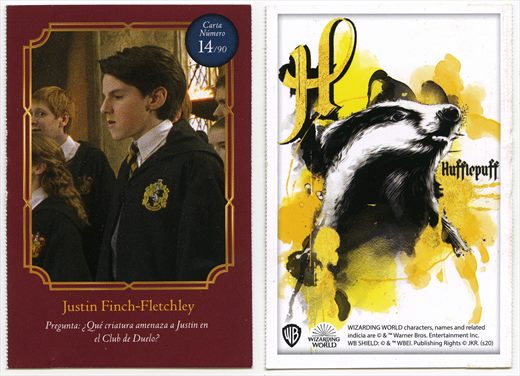 Harry Potter - Wizard World 14