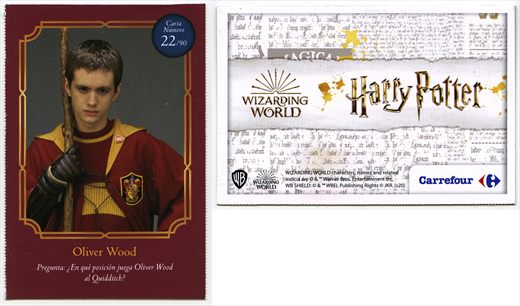 Harry Potter - Wizard World 22