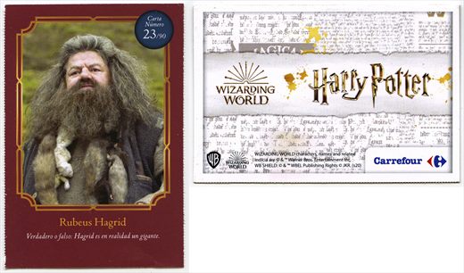 Harry Potter - Wizard World 23