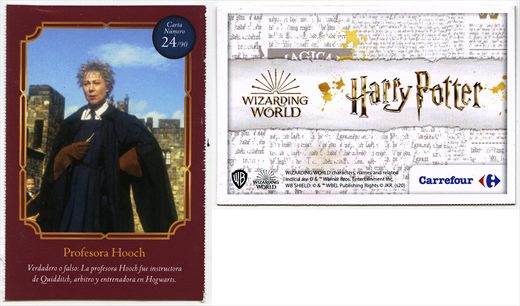 Harry Potter - Wizard World 24