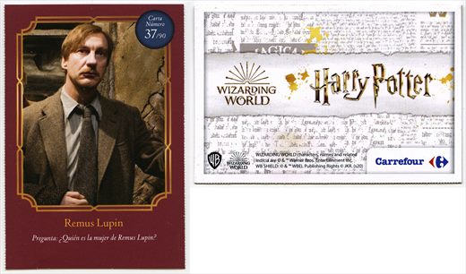 Harry Potter - Wizard World 37