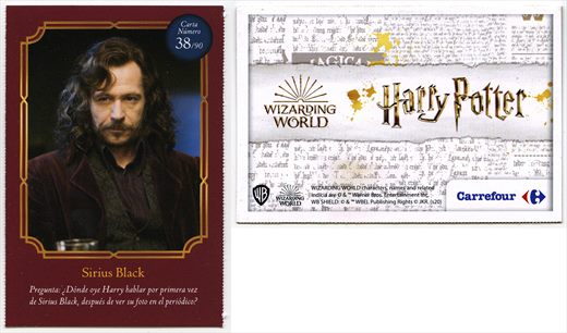 Harry Potter - Wizard World 38
