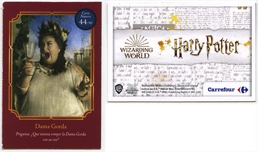 Harry Potter - Wizard World 44