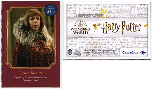 Harry Potter - Wizard World 54