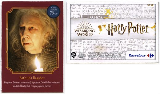 Harry Potter - Wizard World 79