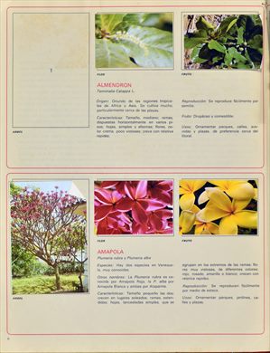 Venezuela en cromos 06