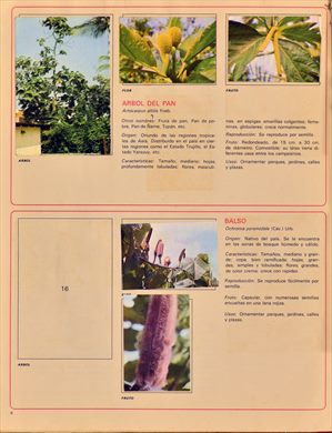 Venezuela en cromos 08