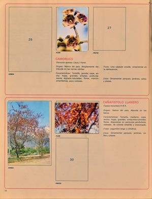 Venezuela en cromos 10