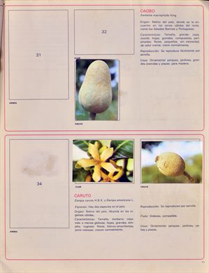 Venezuela en cromos 11
