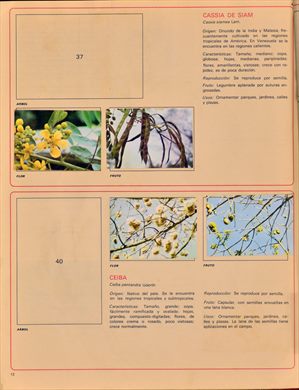 Venezuela en cromos 12