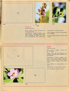Venezuela en cromos 13
