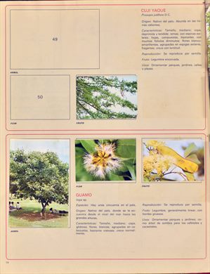 Venezuela en cromos 14