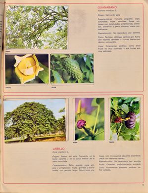 Venezuela en cromos 15