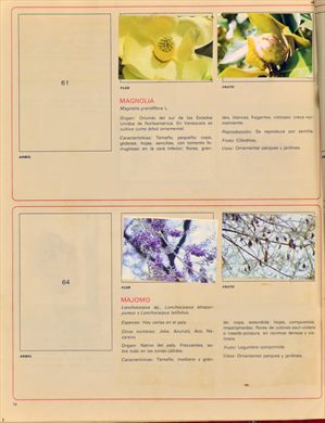 Venezuela en cromos 16