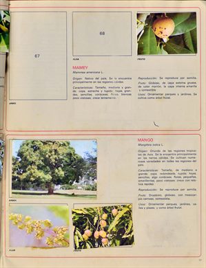 Venezuela en cromos 17